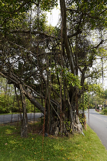 Muang Boran-2013-004